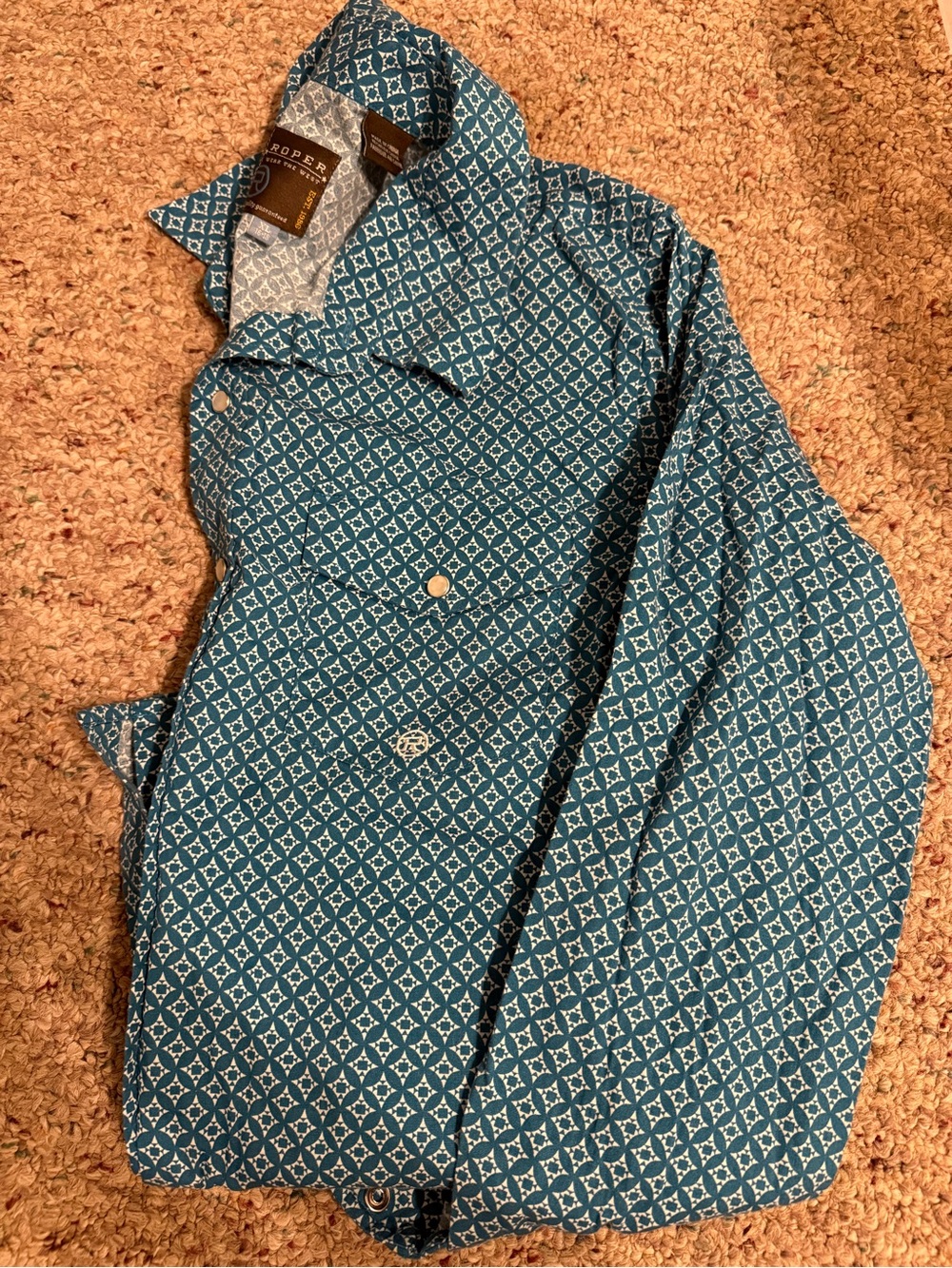 Roper Graham Teal Geometric Button-Down Shirt
